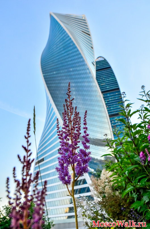 Башня «Эволюция» Москва Сити