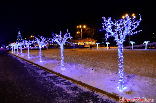 Аллея светящихся деревьев в парке Сокольники