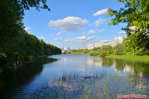Пионерский пруд в Москве