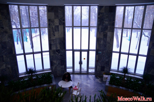 с балкончика кафетерия можно видеть большие стеклянные проемы зимнего сада
