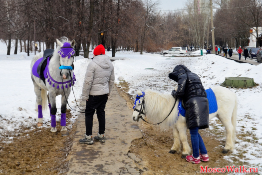 парк Коломенское можно покатать детей на лошадках 