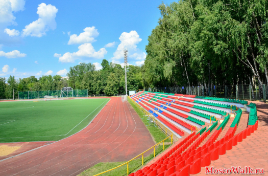 Вместимость стадиона Локомотив город Дмитров
