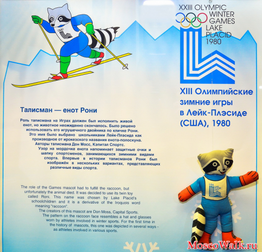 Талисман Олимпийских игр - енот Рони