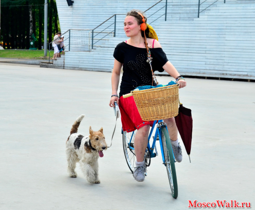 Девушка на велосипеде с собачкой
