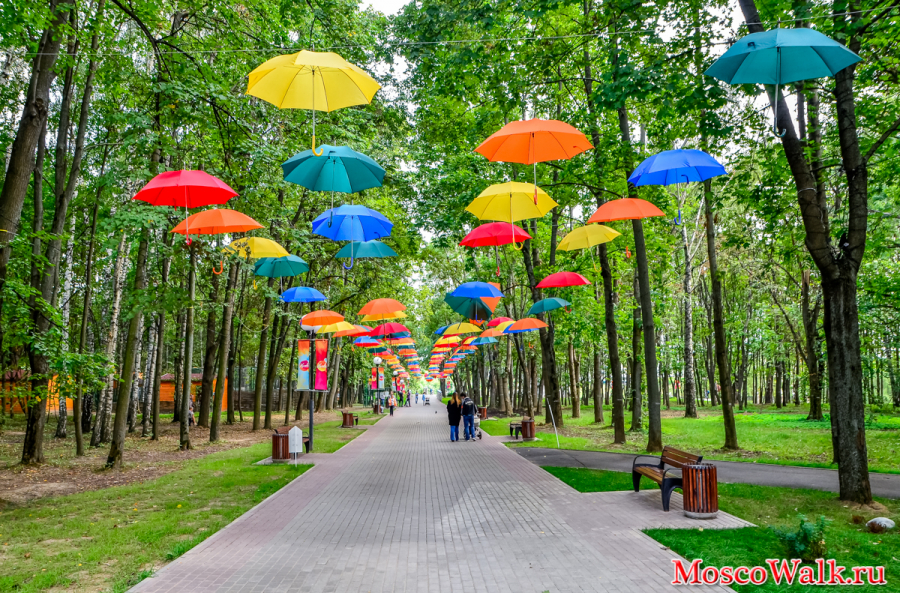аллея в парке с разноцветными зонтиками