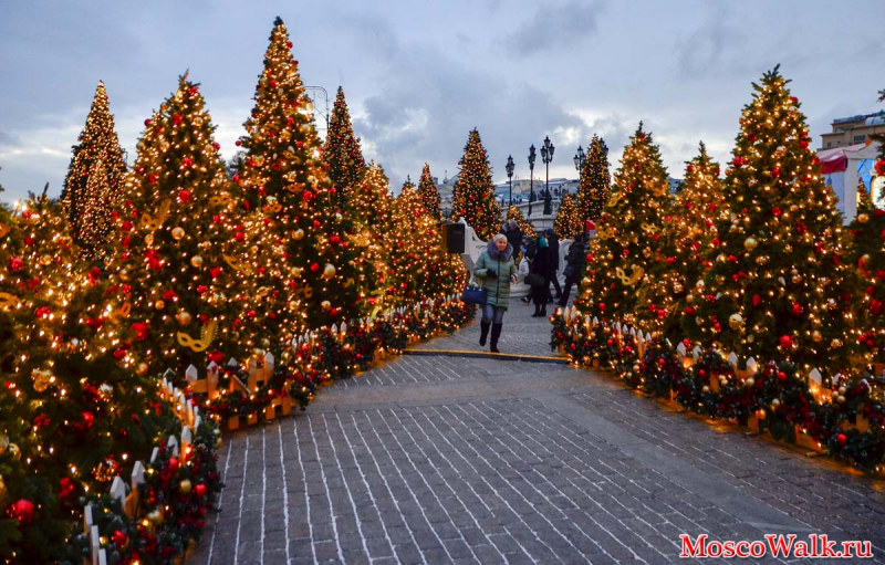 новогодние елки в центре Москвы