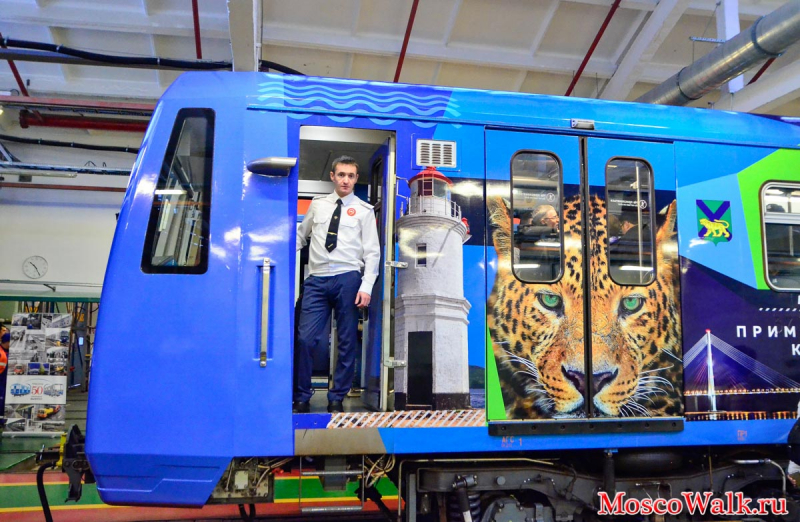 поезд метро «Дальневосточный экспресс»