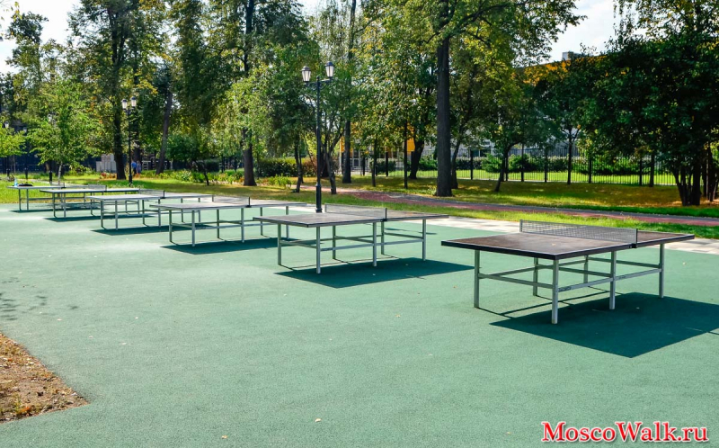 настольный теннис детский черкизовский парк