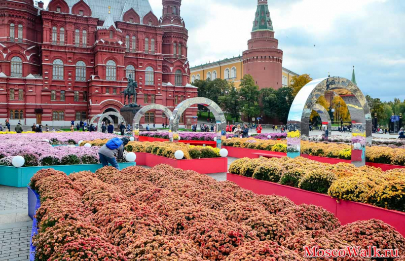 Московские сезоны Золотая осень