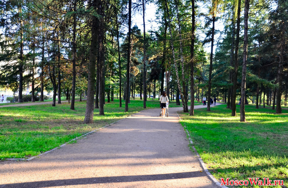 Аршиновский Парк Фото