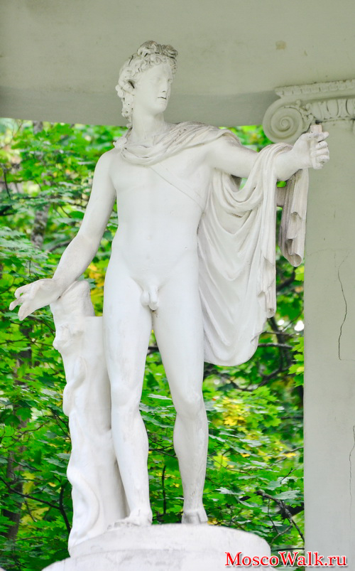 Статуя Аполлона Бельведерского