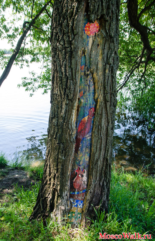 рисунок на стволе дерева