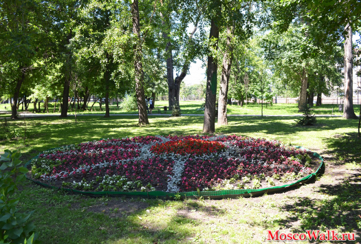 Клумба с цветочками в парке Фестивальный