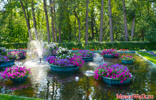 Маленький бассейн с фонтами и цветниками