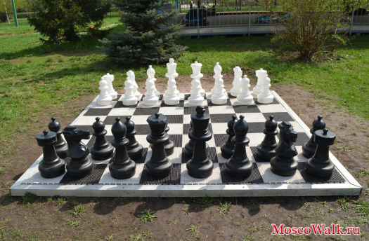 Большие шахматы