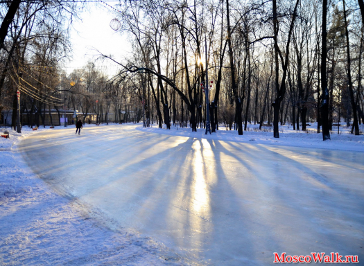Лед в парке Сокольники
