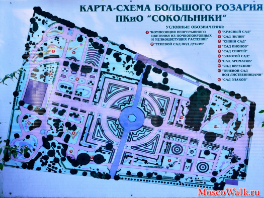Карта-схема большого розария парка Сокольники