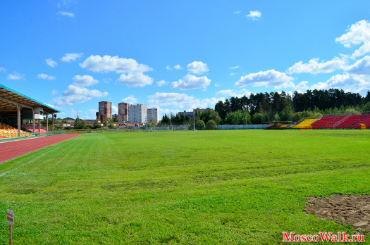 Газон футбольного поля стадиона Москвич