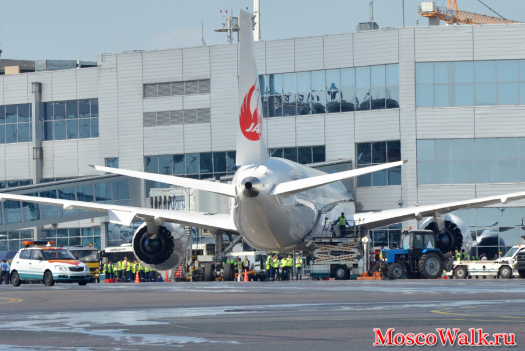 Dreamliner в Домодедово