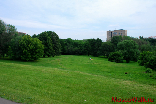 роскошный зеленый газон, и отдыхающие на нем москвичи