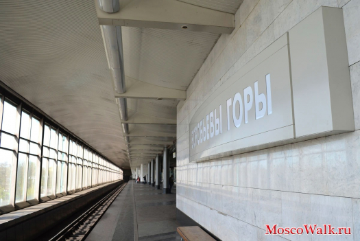 Станция метро Воробьевы горы