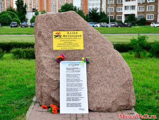 Аллея Ветеранов заложена 4 ноября 2006 года в честь 65-летия разгрома немецко-фашистских войск в битве за Москву в 1941-1942гг.