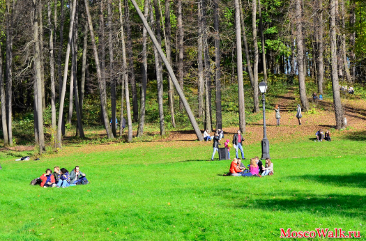 Пикник на газоне в парке Царицыно