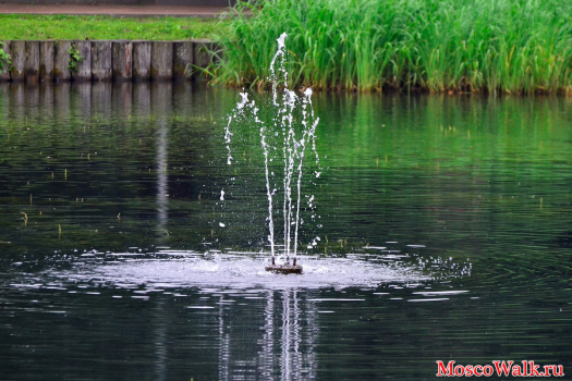 фонтан в пруду
