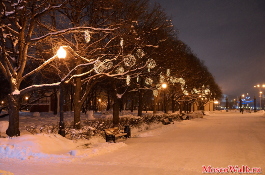 красиво подсвечены деревья на центральной аллее парка Горького