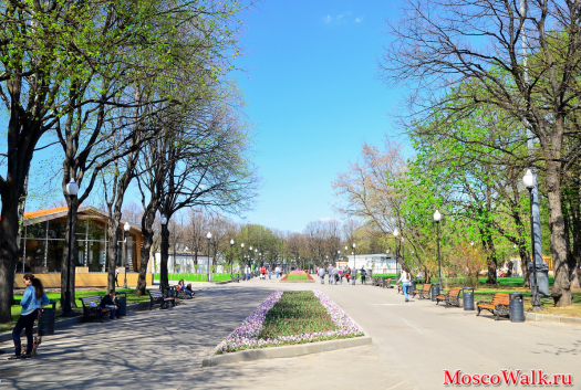 аллея в парке Горького