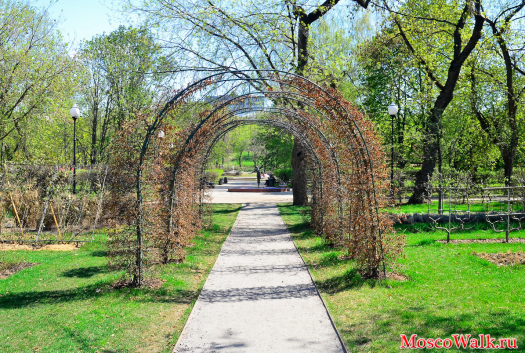 цветочная арка в парке