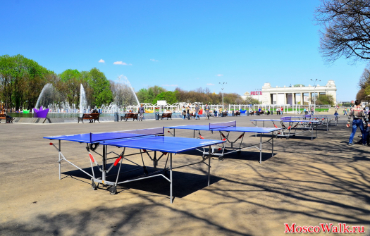 теннисные столы в парке Горького