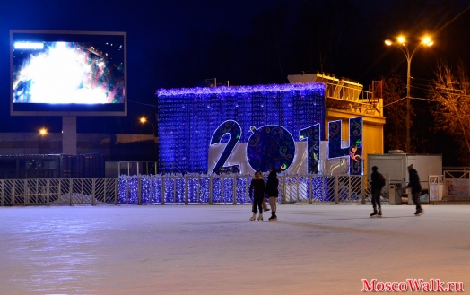 2014 год в парке Сокольники