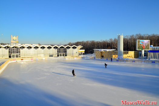 Площадь катка «Лёд», который расположился на Фестивальной площади парка «Сокольники», составляет 5 400 квадратных метров