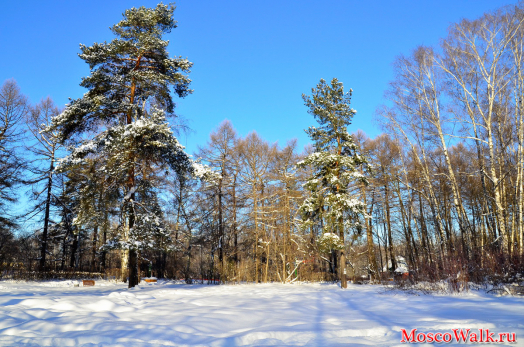 зимний парк Сокольники, когда светит солнышко просто красота