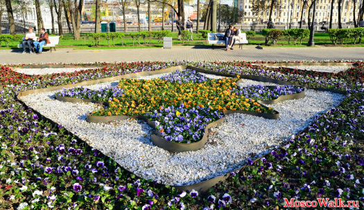 Цветники на Болотной площади