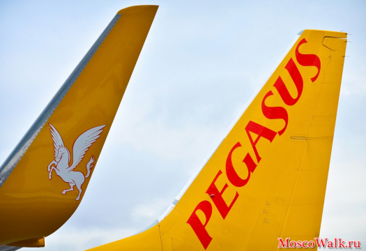 Pegasus Airlines в Домодедово