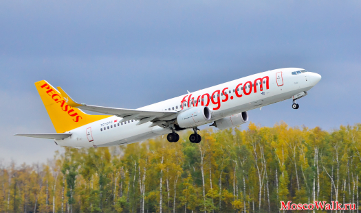 Pegasus Airlines открывает рейсы из Домодедово