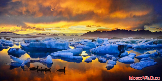 Фотовыставка Окно в Арктику