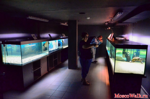 открылся Музей истории аквариумистики