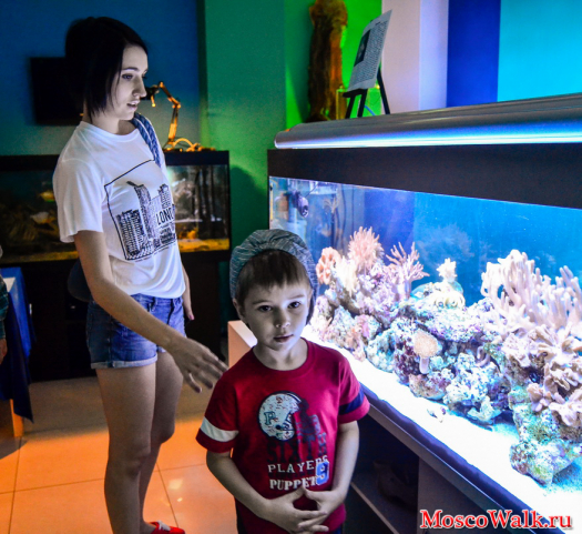 Музей аквариумов в Москве