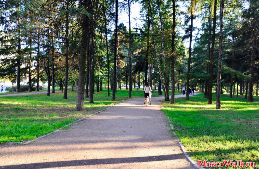 Аршиновский парк в Москве