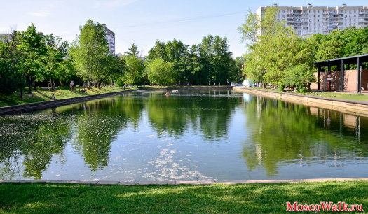 Гончаровский пруд в парке