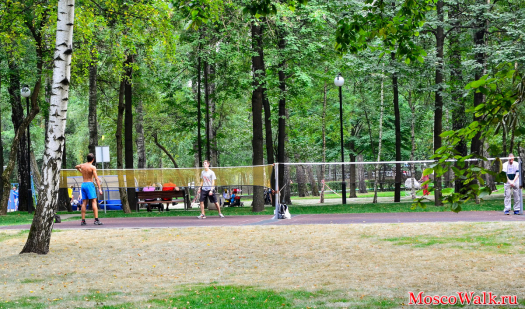 теннисная площадка в Лианозовском парке