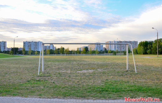 футбольное поле в Братеевском парке