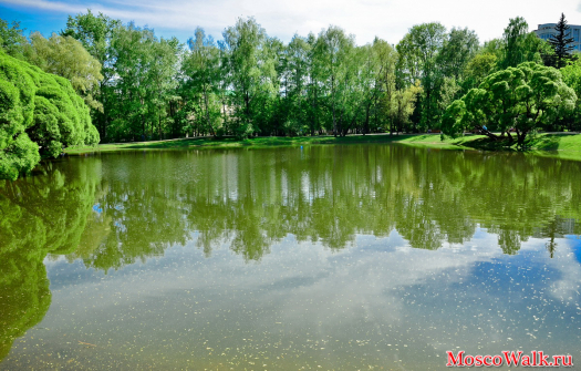 Нарышкинский пруд в Филевском парке