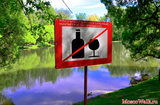 На пруду запрещается распивать спиртные напитки