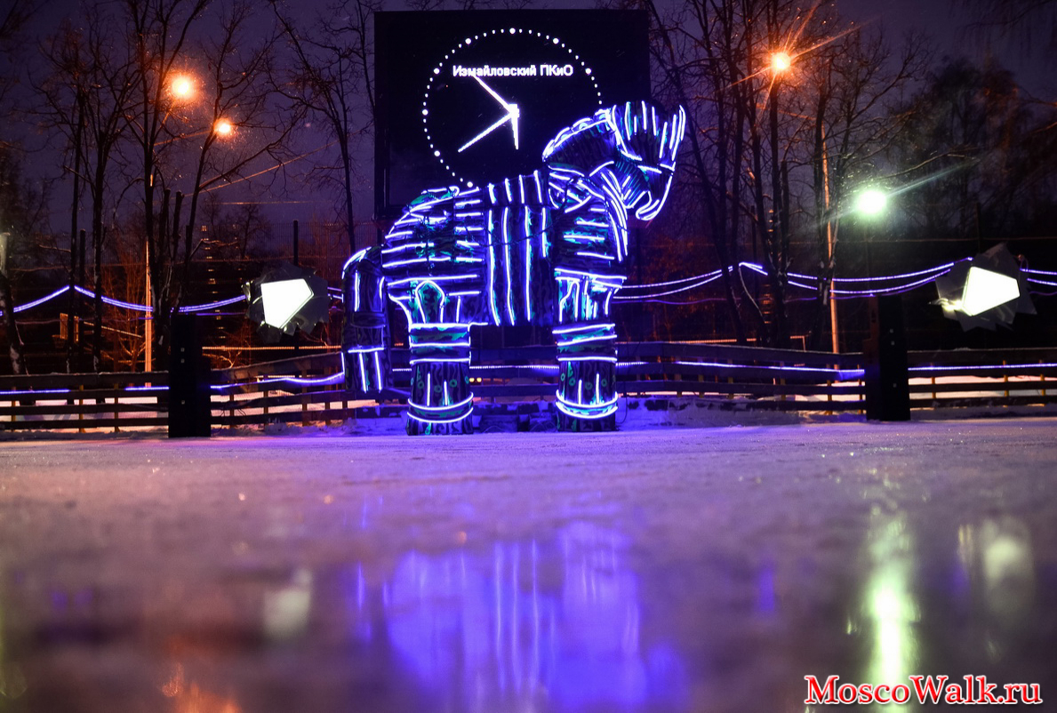Измайловский парк каток