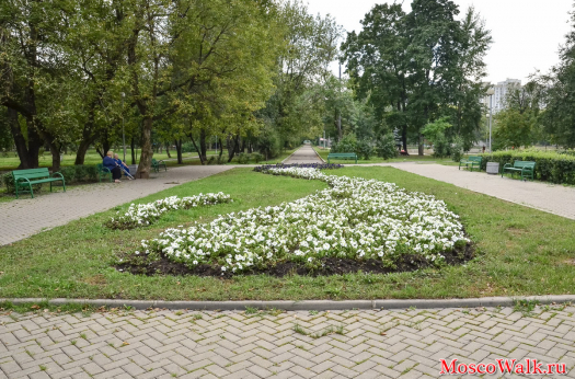 цветочная клумба в парке Торфянка