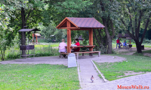 Шашлык в парке Отрада